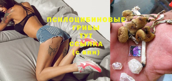 дурь Абаза