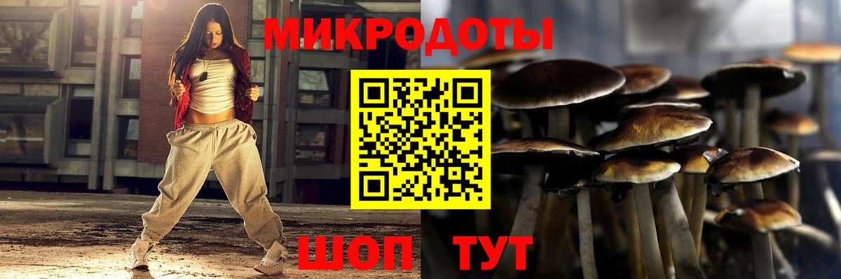 Элиста  Галлюциногенные грибы мицелий  Вход с VPN 